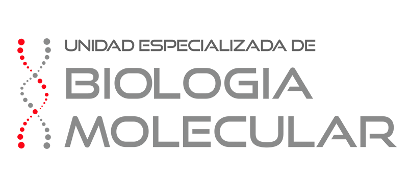 Logo BM